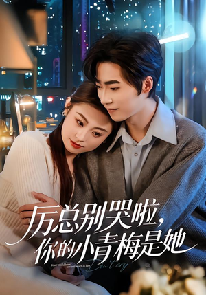 厉总别哭啦,你的小青梅是她(70集) 厉总别哭啦,你的小青梅是她(70集)精彩好看短剧