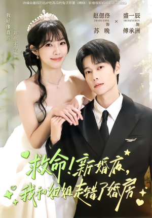 救命!新婚夜,我和姐姐走错了婚房(58集) 救命!新婚夜,我和姐姐走错了婚房(58集)这短剧太好看了