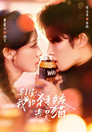 别摸！我的杀手女友是只猫（60集）爱短剧爱追剧