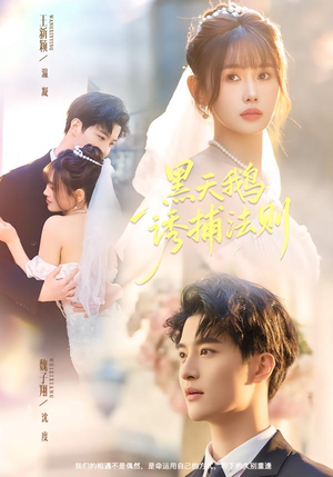 黑天鹅诱捕法册(80集) 黑天鹅诱捕法册(80集)百亿短剧抢先看