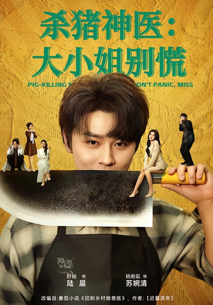 杀猪神医，大小姐别慌（80集）短剧太精彩了