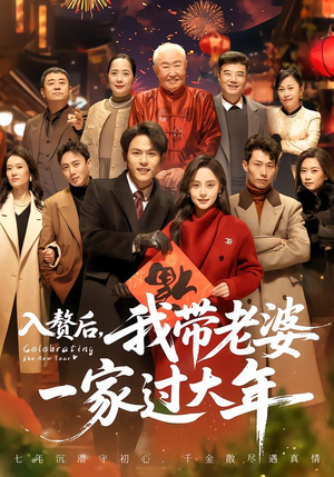 入赘后，我带老婆一家过大年（60集）超级好看的短剧