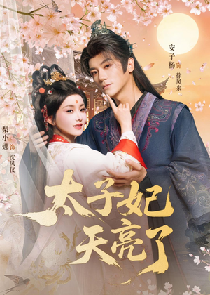 太子妃天亮了（80集）短剧分享剧集