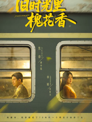 旧时光里槐花香（70集）我真的爱了