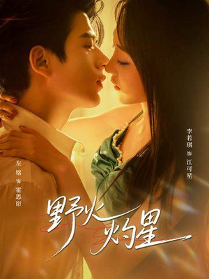 野火灼星（56集）短剧太好看