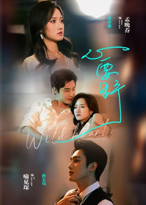 心要野（62集）在线看免费版