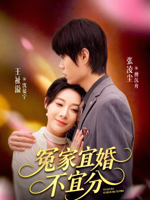 冤家宜婚不宜分(80集) 冤家宜婚不宜分(80集)第三季