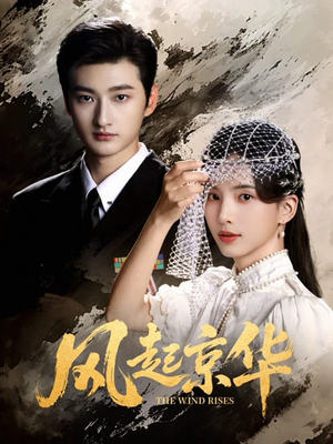 风Q京华(60集) 风Q京华(60集)短剧解说热门