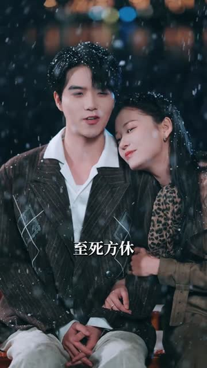 明知故陷（70集）网盘在线观看