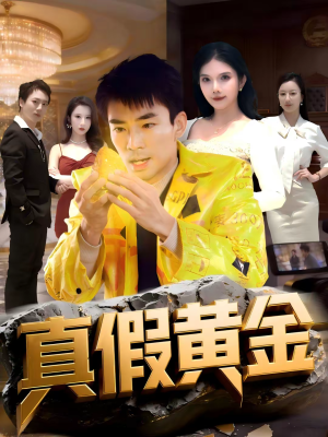 真假黄金（62集）一共多少集