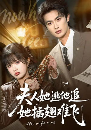 夫人她逃他追，她插翅难飞（101集）在哪个平台看