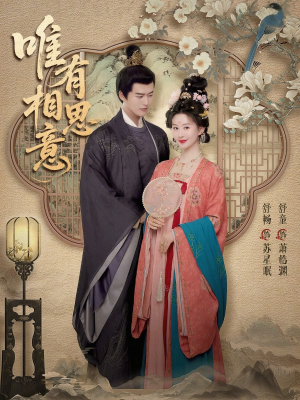 唯有相思意(100集) 唯有相思意(100集)真的太好看了