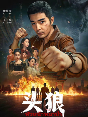 头狼（77集）全剧免费观看