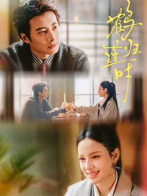 鹤归瑾时（81集）精彩短剧免费看