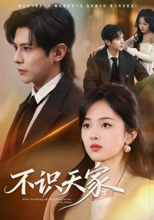 不识天家（69集）最热门短剧来了