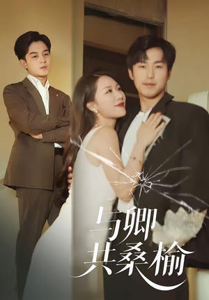 与卿共桑榆（63集）在哪看是免费的