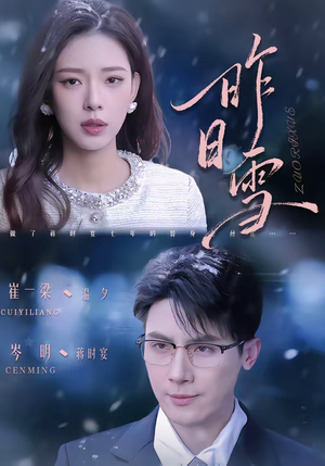 昨日雪（70集）经典回顾免费看