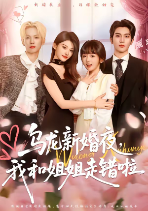 乌龙新婚夜，我和姐姐走错啦（59集）在线看免费版