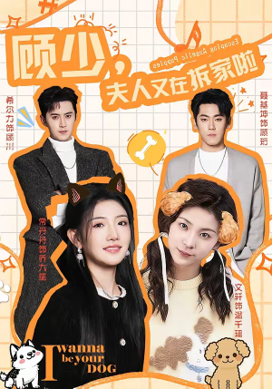 顾少，夫人又在拆家啦（78集）怎么看全集