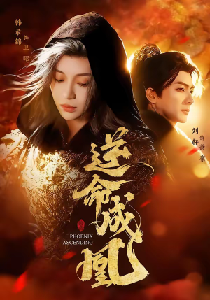 逆命成凰（70集）全季一次看完
