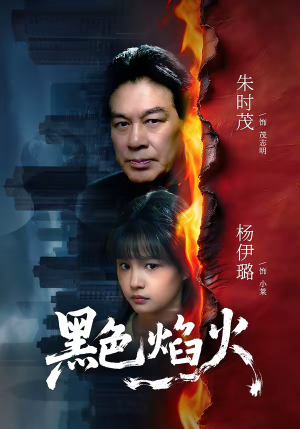 黑色焰火(41集) 黑色焰火(41集)短剧在哪个平台