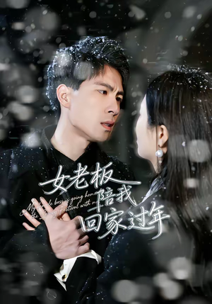 女老板陪我回家过年(40集) 女老板陪我回家过年(40集)独家资源免费看