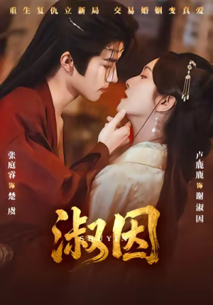 淑因（65集）看精彩短剧