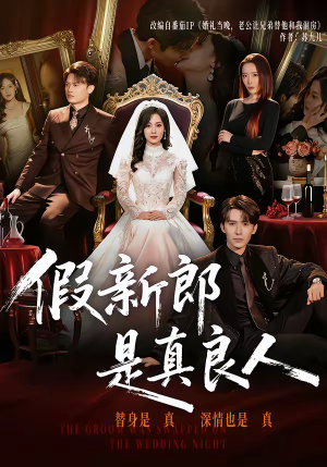 假新郎是真良人（67集）短剧更新抢先看