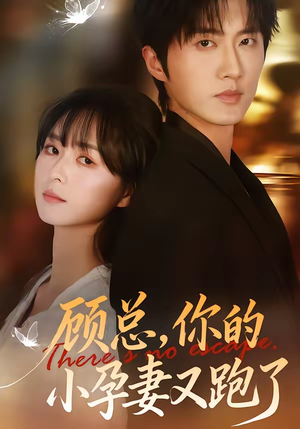 顾总,你的小孕妻又跑了(47集) 顾总,你的小孕妻又跑了(47集)短剧后续更精彩