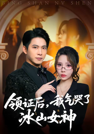 领证后，我气哭了冰山女神（60集）熬夜追短剧