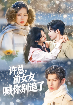 许总，前女友喊你别追了（80集）在线看免费版