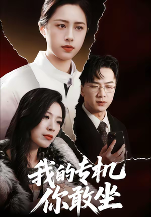 我的专机你敢坐(62集) 我的专机你敢坐(62集)短剧全集大结局