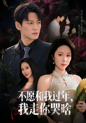 不愿和我过年,我走你哭啥(74集) 不愿和我过年,我走你哭啥(74集)免费看全集