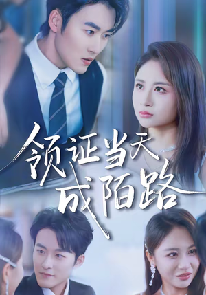 领证当天成陌路(39集) 领证当天成陌路(39集)短剧追不停