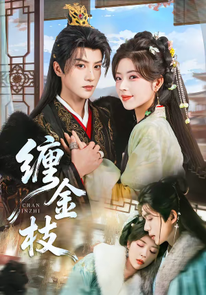 缠金枝（69集）短剧在线更新