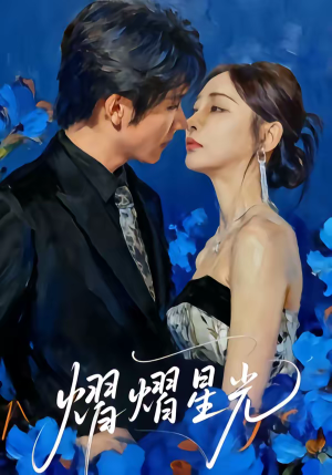 熠熠星光（67集）短剧小说在线看