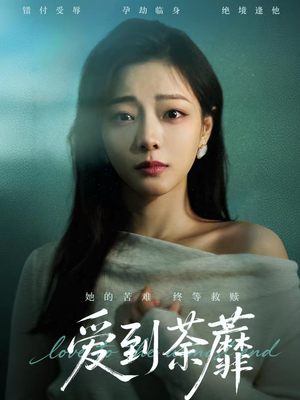 爱到荼蘼（63集）经典老剧免费看
