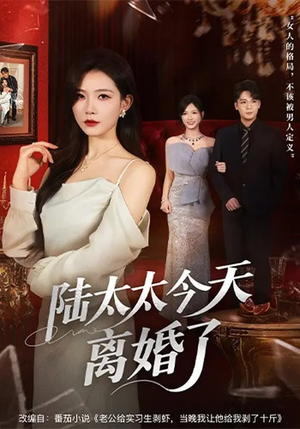 陆太太今天离婚了（59集）全集一网打尽