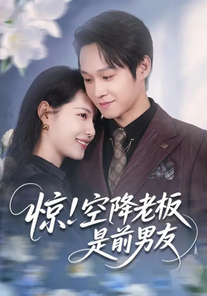惊！空降老板是前男友（65集）零花钱看整部剧