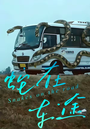 蛇在车途（34集）古代短剧推荐