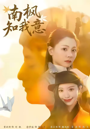 南枫知我意（41集）精彩短剧片段