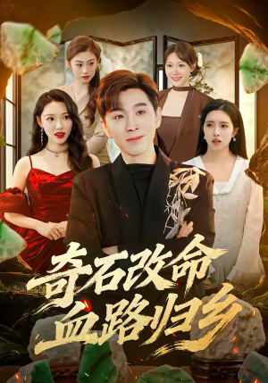 奇石改命血路归乡（81集）一起追短剧