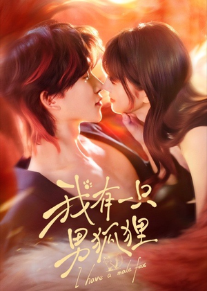 我有一只男狐狸（48集）一口气看完全集