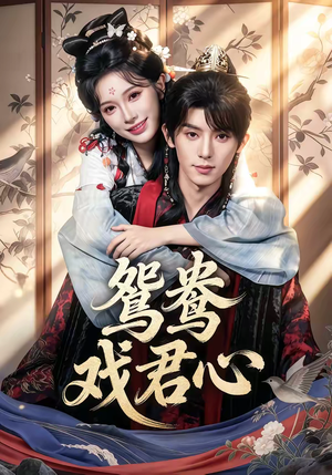 鸳鸯戏君心（60集）爆火短剧追不停