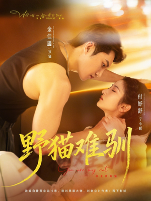 野猫难驯（73集）免费观看就是爽