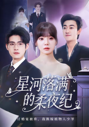 星河落满的柔夜纪（88集）UC网盘在线看