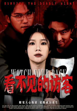 看不见的访客（62集）男主角是谁