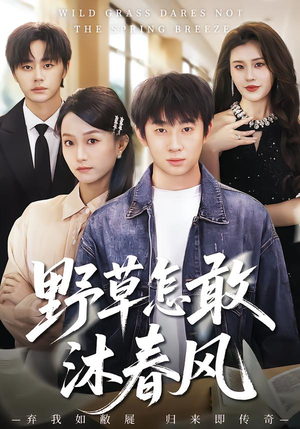 野草怎敢沐春风（61集）短剧免费看全集