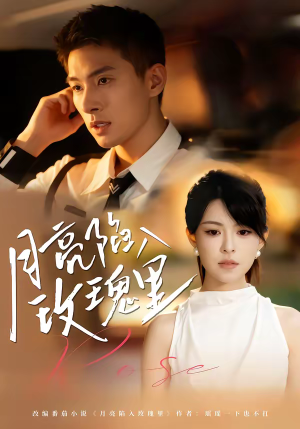 月亮陷入玫瑰里（60集）热门短剧推广