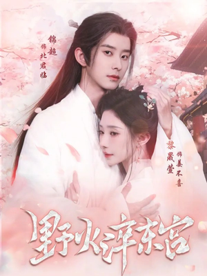 野火淬东宫（76集）火爆短剧来袭